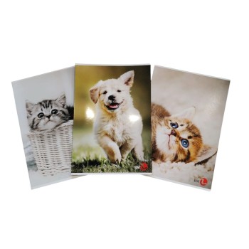 10 Quadernoni Rigatura Rigo 1 | Cloclorinda.it