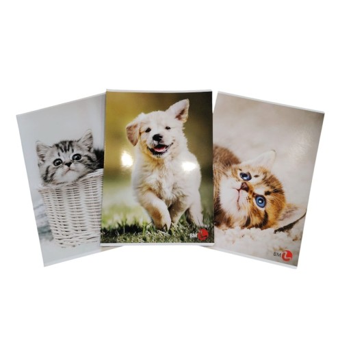 10 Quadernoni Rigatura Tipo C | Cloclorinda.it