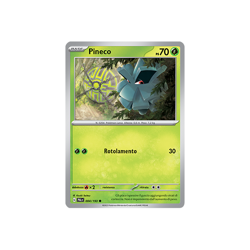 Pineco 004/193 | Cloclorinda.it