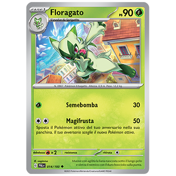 Floragato 014/193 | Cloclorinda.it