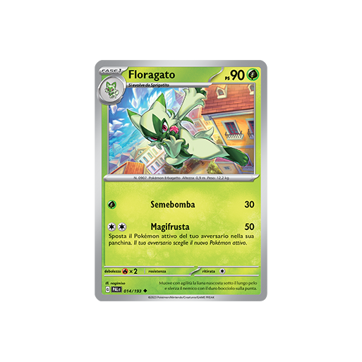 Floragato 014/193 | Cloclorinda.it