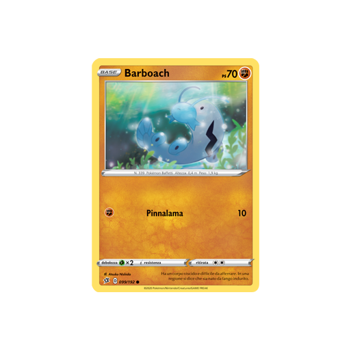 Barboach 099/192 | Cloclorinda.it