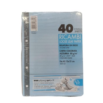 RICAMBI A5 1 RIGO PIGNA AZZURRI | Cloclorinda.it