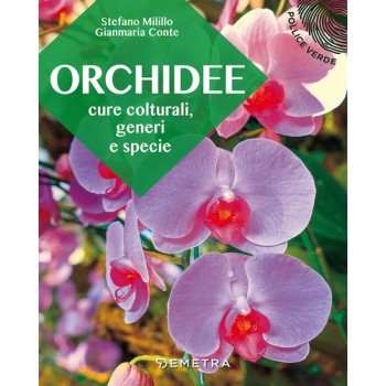 Orchidee. Cure colturali, generi e specie | Cloclorinda.it