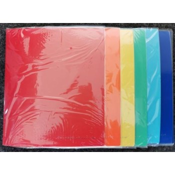 Top Quality Copertina A4 PPL CXY 4A 16mm 22x30cm assortito | Cloclorinda.it